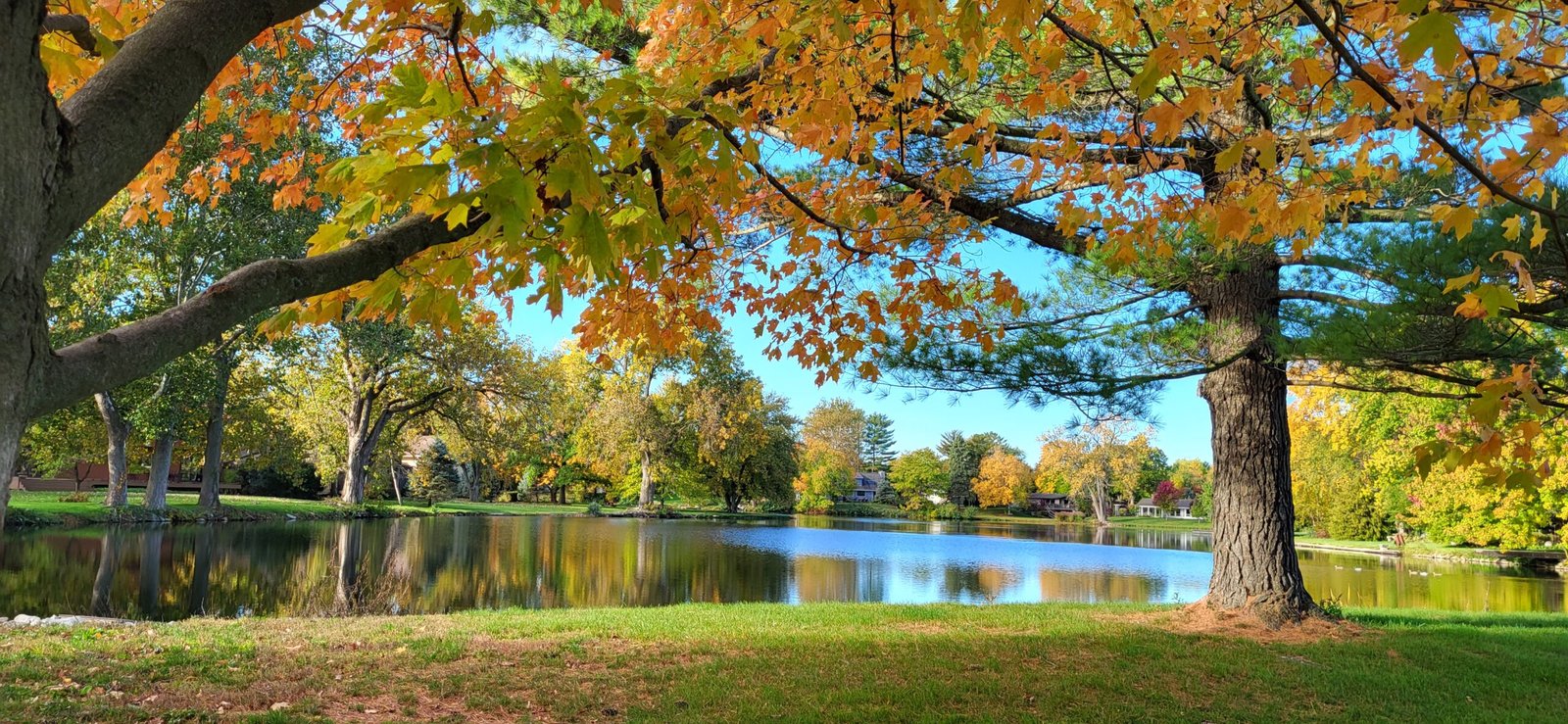 Scene of the neighborhood lake